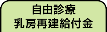 自由診療乳房再建給付金